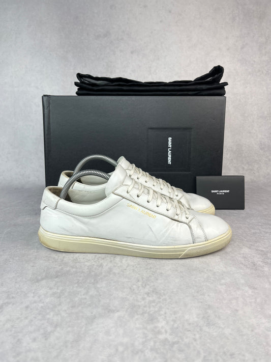 Saint Laurent andy low sneaker